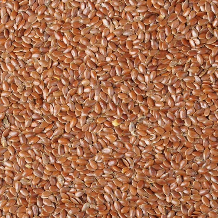 oil seeds flax seeds