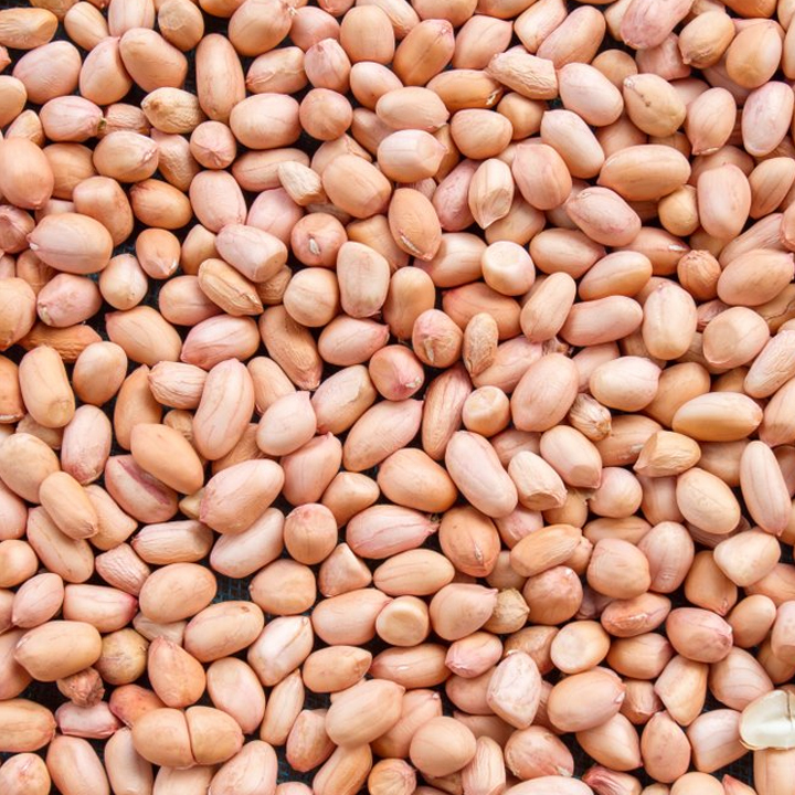 oil seeds groundnut seeds