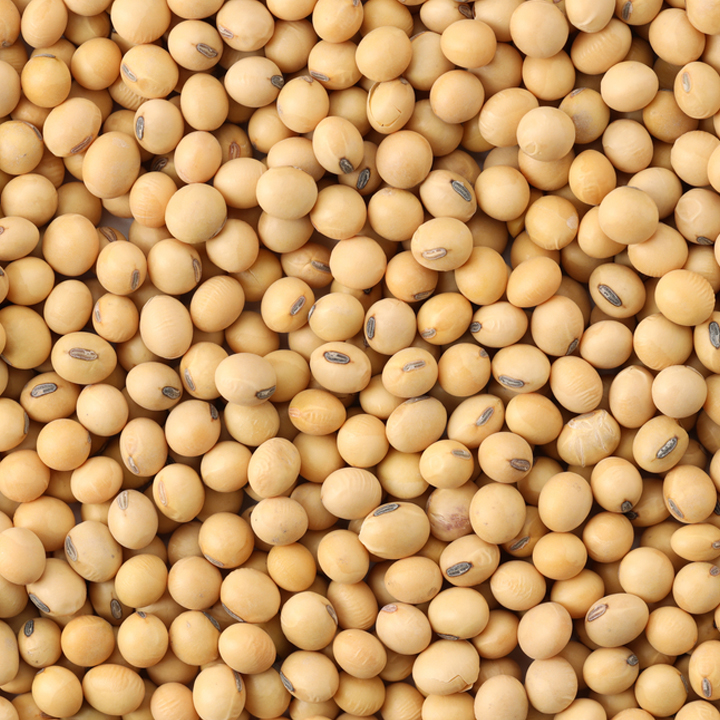 oil seeds soybean seeds