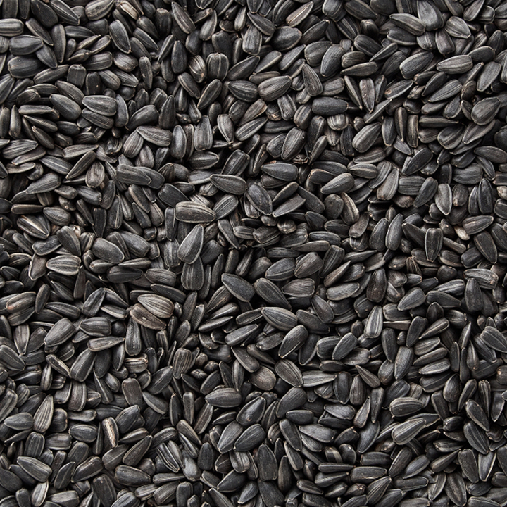 oil seeds sunflower seeds