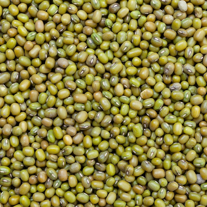 pulses green mung