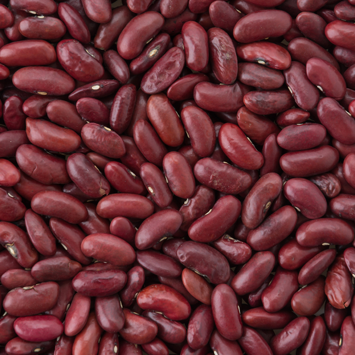 pulses kidney beans