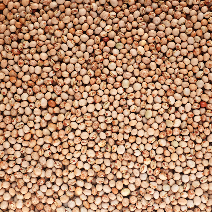 pulses pigeon peas