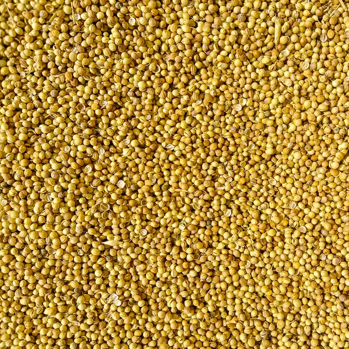 whole spices coriander seeds