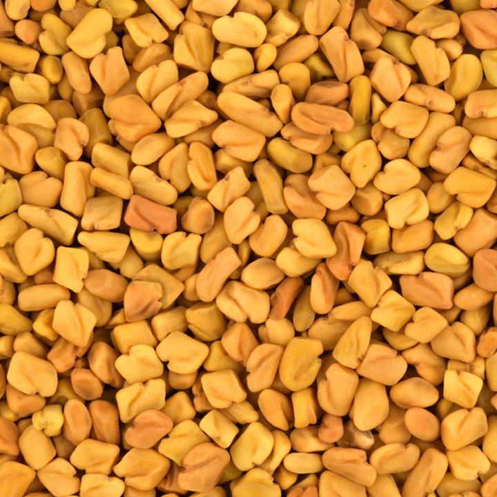 whole spices fenugreek seeds