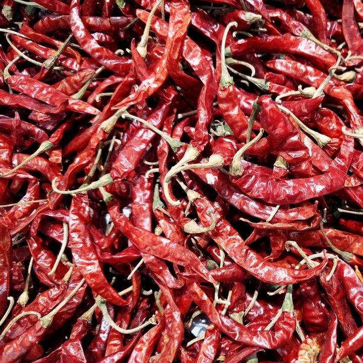 whole spices red chilli